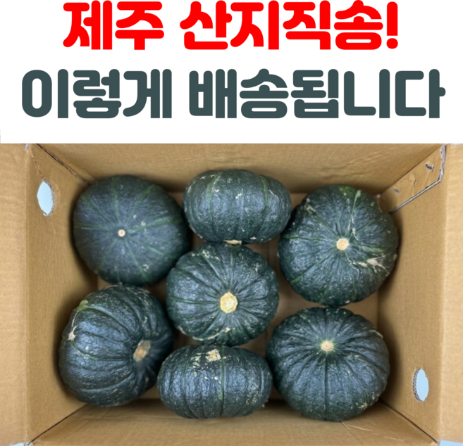 6위 - [산지직송] [하루30박스한정] 제주산 미니 단호박 보우짱 달달한 밤호박, 1박스, 10kg 로얄과(박스포함
