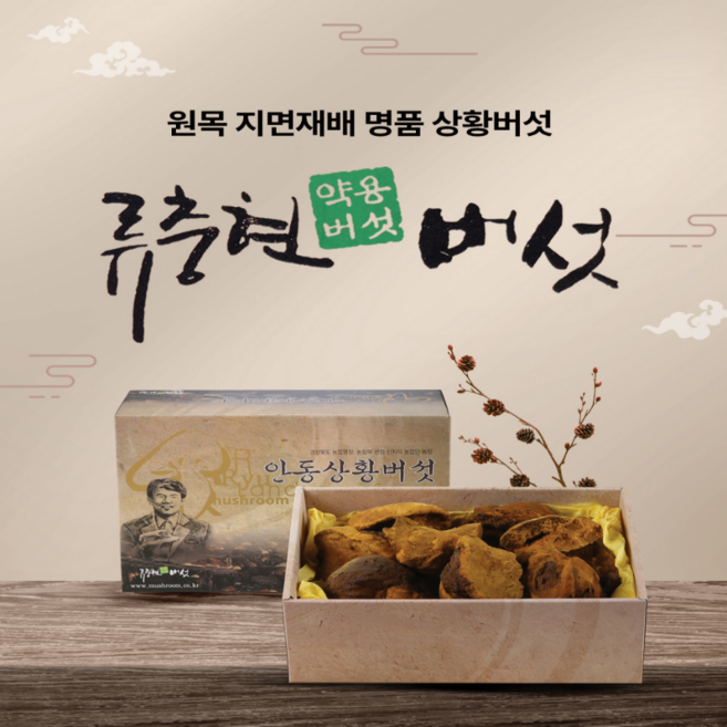 경북 버섯 명장이 보증하는 국내산 명품 상황버섯 - Dired Phellinus baumii (중품), 1박스, 500g