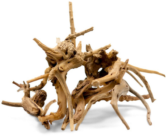 미미네아쿠아 브랜치 가지 유목 소 (10-20cm), 1개