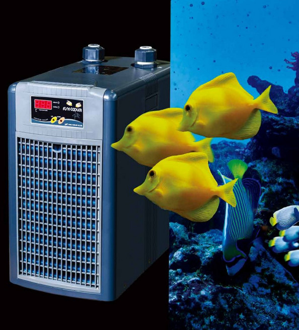 DBI-050D 대일 냉각기 해수 담수 수족관용 횟집 대일냉각기, 1개