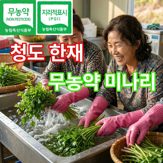 더맛곳간 국산 무농약 청도 한재 미나리 국내산 손질 세척, 1개, 1.5kg