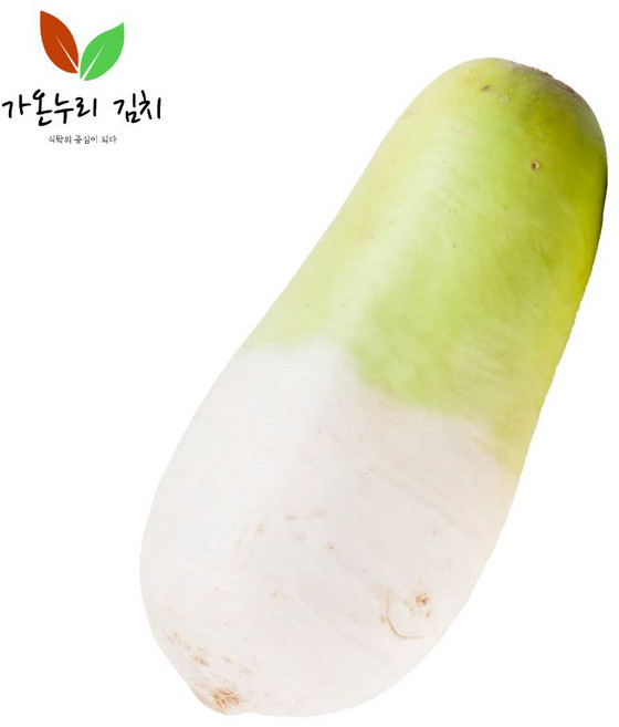 제주월동무 세척무 달콤한 무우, 1개, 10kg