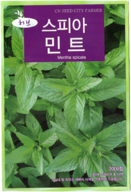 청농 허브씨 스피아민트 씨앗 2000립, 1개