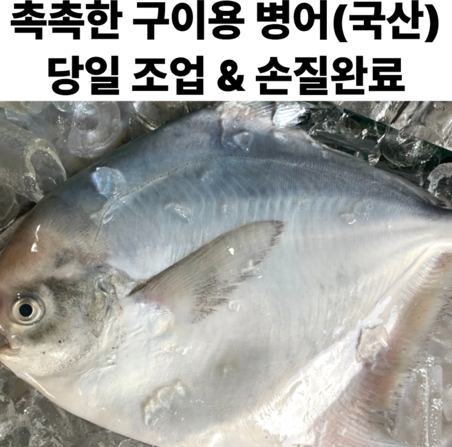 국산 손질 생물 병어 비손질 병어 구이용 병어횟감, 1박스, 구이용 손질 병어 800g (2~5미)