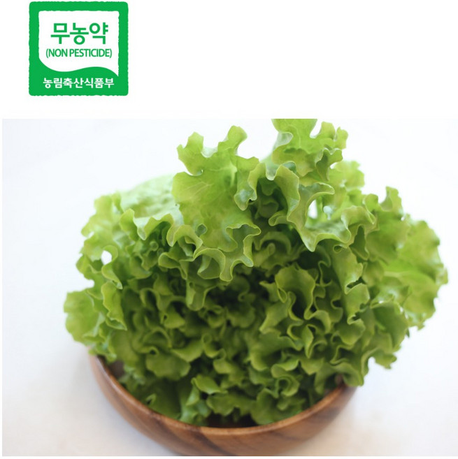 1kg 유럽상추 카이피라 단품, 1개