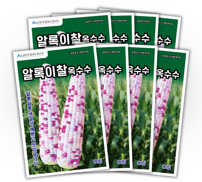 [주주씨앗] 알록이찰옥수수 씨앗 80립 얼룩찰옥수수 씨앗 다수확 통큰 옥수수, 8개