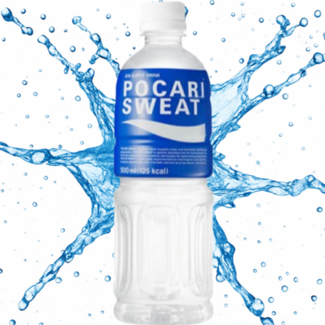 상쾌하고 시원한 그맛 포카리스웨트, 12개, 500ml