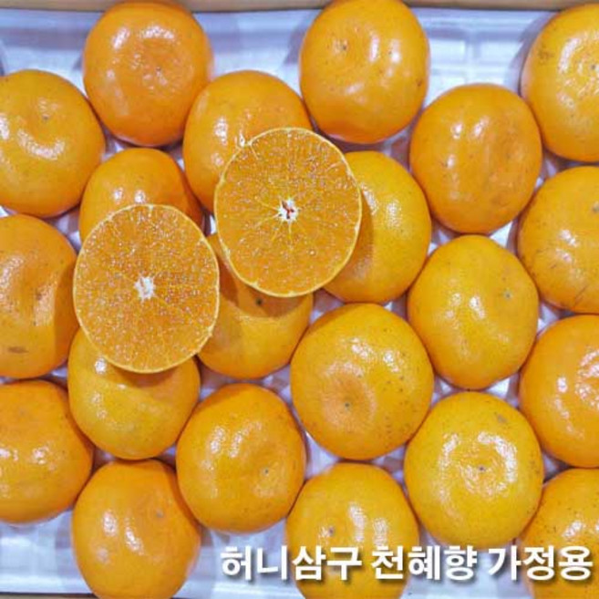 허니삼구새콤달콤 제주 고당도 천혜향 가정용 3KG내외 5KG내외 10KG내외, 1박스, 가정용5KG내외(19-24과)