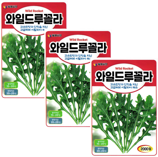 와일드루꼴라씨앗 3개 루꼴라 허브 씨앗 씨 종자 키우기