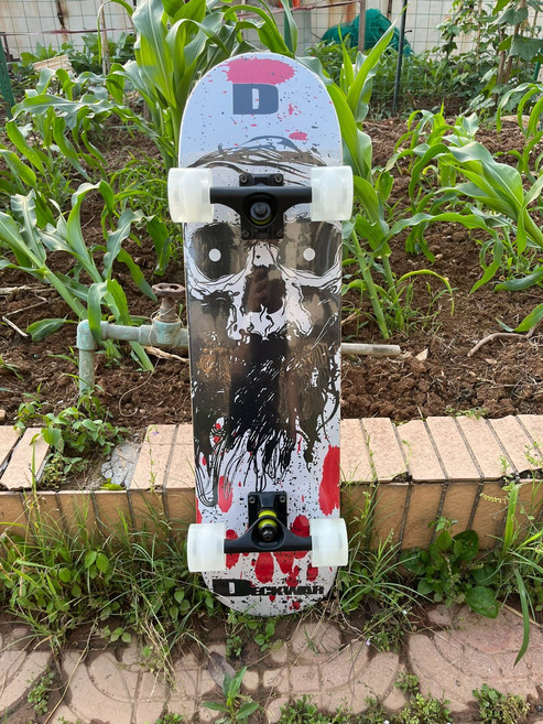 DBH 同品質 一博同款 高級配置 四輪滑板 雙翹滑板 男女生 初學者 專業滑板, 如圖所示, 1個