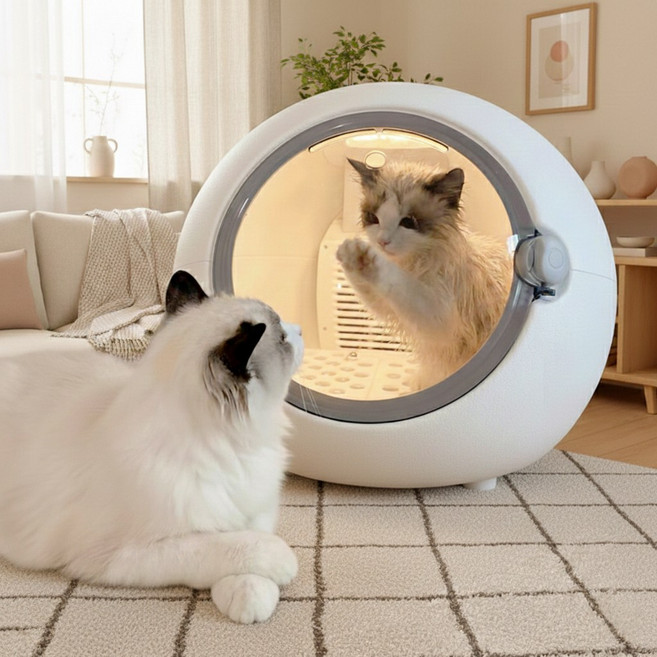 펫드라이룸 강아지 드라이룸 고양이 애견 드라이룸, 화이트, 1개, 화이트 1개