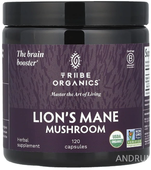 트라이브오가닉스 라이온스메인 노루궁뎅이버섯 120정 베타글루칸, 1개 - 쿠팡
