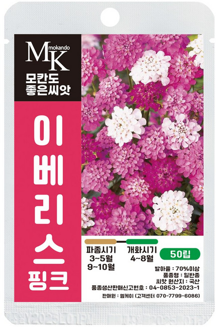 모칸도 좋은씨앗 이베리스 씨앗 50립 핑크 일반종 꽃씨 꽃씨앗, 1개