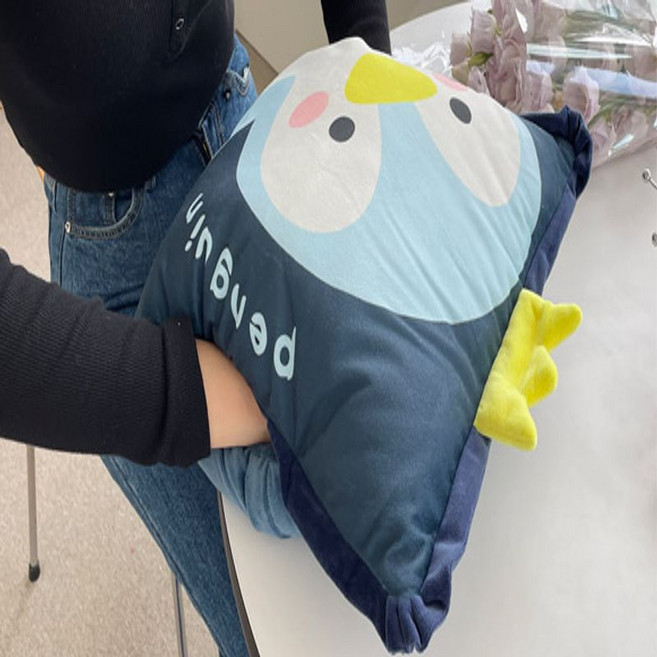 리틀잼스 캐릭터 쿠션 겸용 무릎 담요 차량용 학생 학교 극세사 bg4046