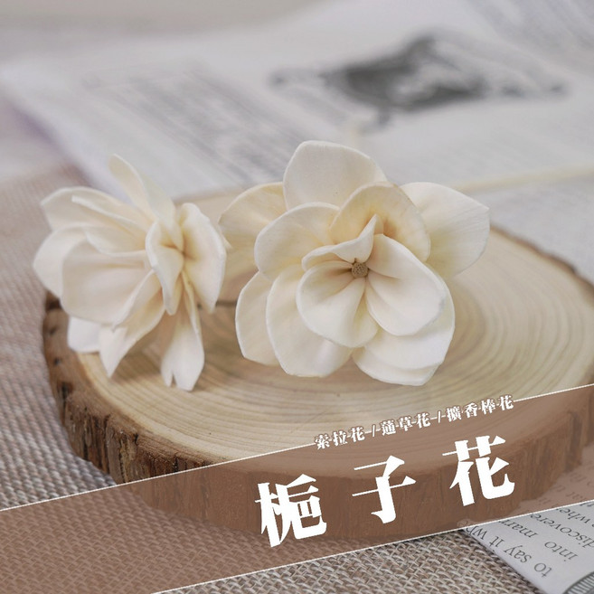 索拉花 通草花 擴香棒 梔子花 5.5公分, 1個