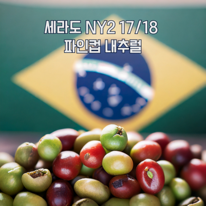 원두커피 홀빈 1kg (브라질 세라도) 당일로스팅, 1개, 홀빈(분쇄안함)