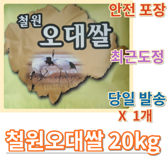 철원오대쌀 햅쌀 백미, 상등급, 20kg, 1개