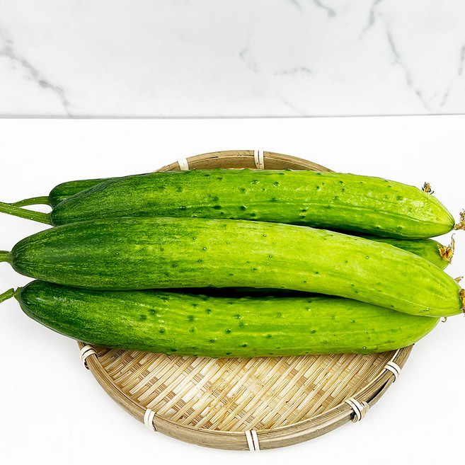 백오이 오이지 오이냉국 오이소박이 3kg 5kg 10kg, 1개