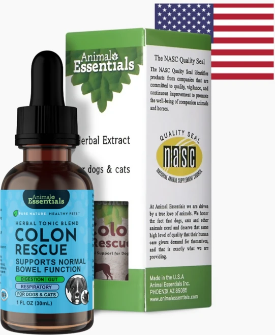 애니멀에센셜 호흡기팅크 30ml 강아지 고양이 기관지 호흡기 영양제 켁켁거림 액상 NASC 인증 영양제, 1개 - 쿠팡