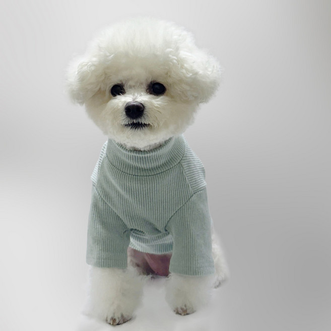 스타일독 로얄골지 반목티 강아지옷, 민트, 1개