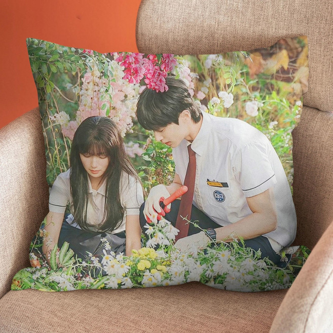 선재 업고 튀어 변우석 굿즈 생일선물 베개 양면 쿠션 45x45cm byonusok840, 19