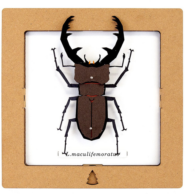 일본 정식수입 SQAR 08_머큐리페모라투스 사슴벌레 페이퍼크래프트 3D모형 장식품 집꾸미기 나비모형, 1개