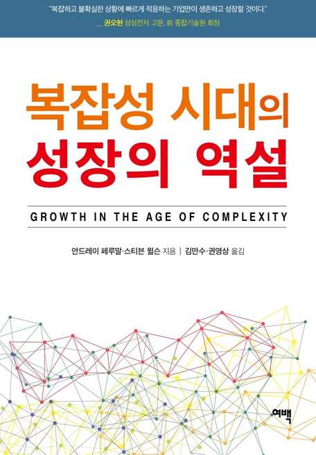 복잡성 시대의 성장의 역설, 여백, 안드레이 페루말