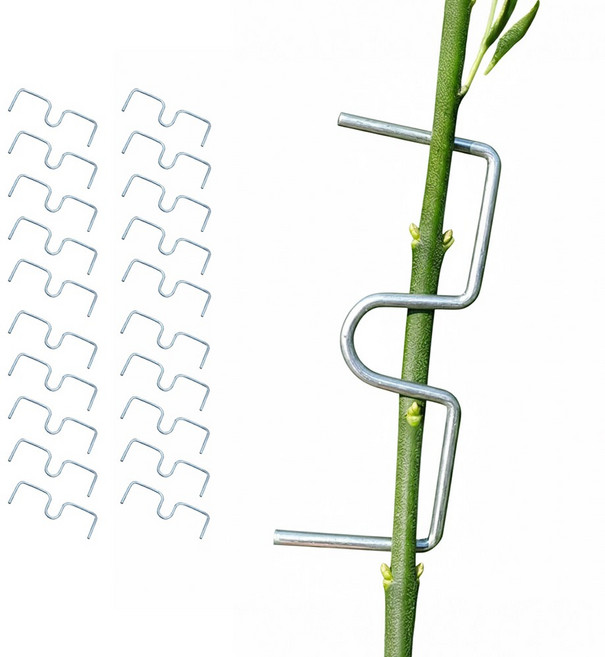 아띠꼴로 잘 휘어지네 가지유인 E클립 사과나무 이클립 50개 중형, 100개