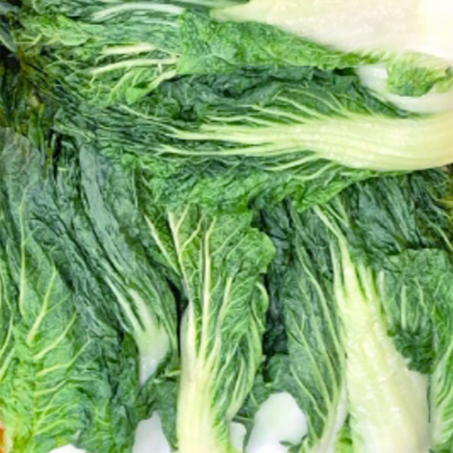 100% 국내산 데친 배추 우거지 1kg, 2개