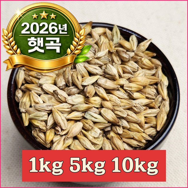 2026년 햇곡 국산 도정안한 겉보리 통보리 1키로 5키로 10키로 엿질금 보리차용 보리 우리 가족을 위한 건강한 식단관리, 1개, 5kg