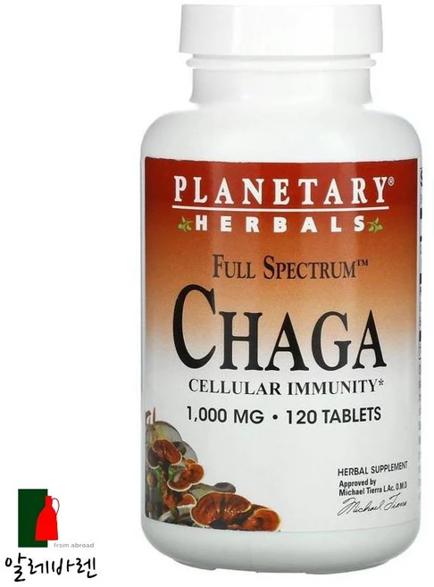 플래니터리허벌 전체 스펙트럼 차가버섯 1 000mg 120정 미국 해외 직구 항산화, 1개 - 쿠팡