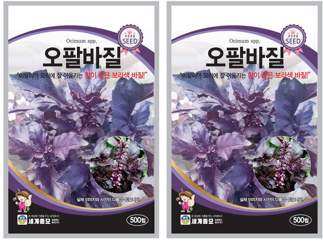 오팔바질 500립 세계종묘 허브씨앗 바질씨앗 이색허브씨앗, 2개