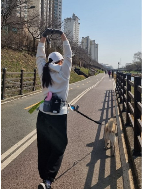 오슬팜 핸즈프리 강아지 산책가방+리드줄, 블랙, 1개