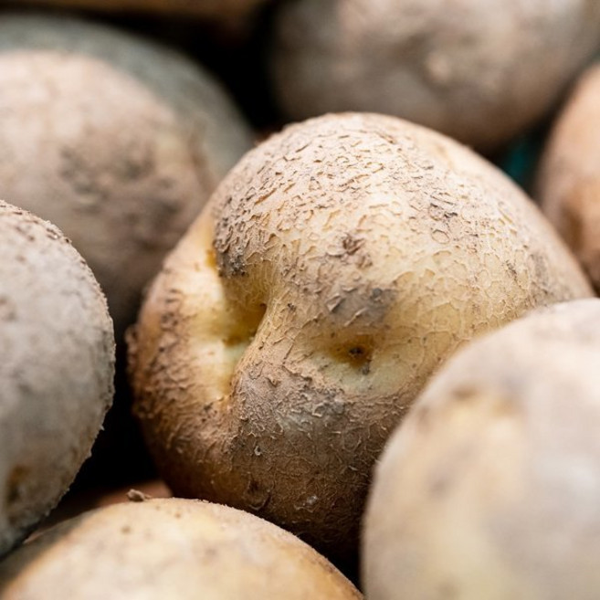 햇 수미 감자 (당일배송), 5kg 중 (조림용), 1개