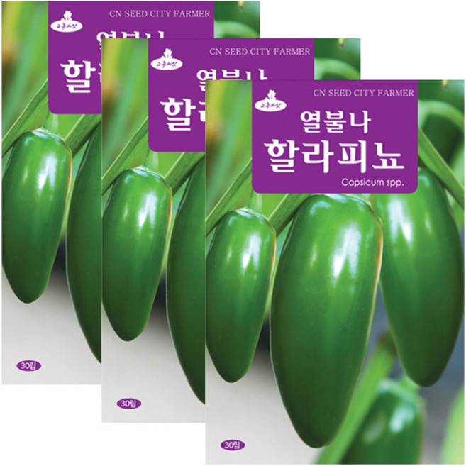 세인화분 할라피뇨 30립, 3개