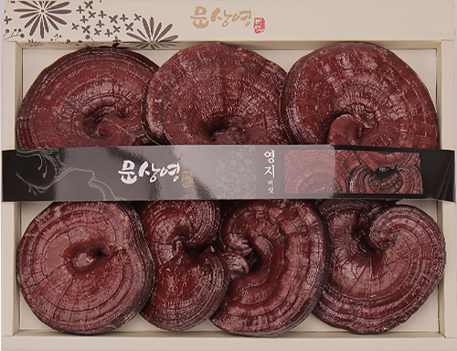 [문상영 버섯] 유기농 영지버섯 알뜰 실속용, 1개, 1kg 원형