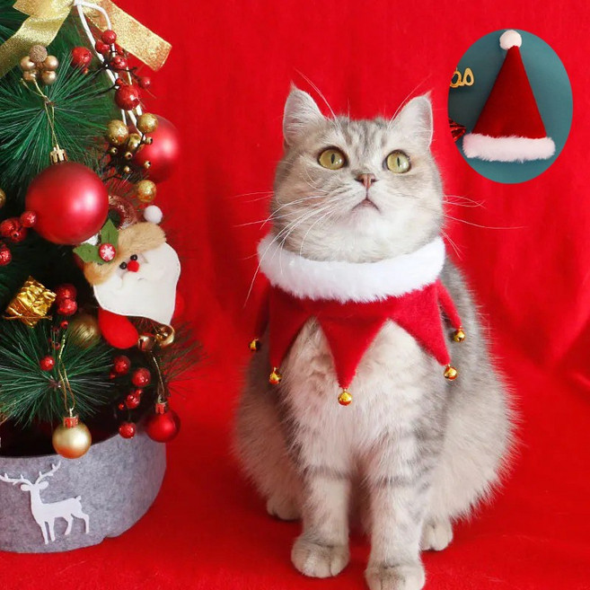 반려동물 크리스마스 모자+목도리 세트 강아지 고양이 반려동물 크리스마스 목도리 요정 케이프 애견의류 강아지 예쁜옷 고양이옷, 1세트, 레드