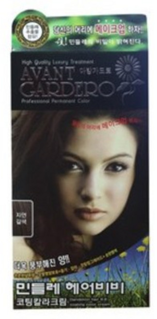 [아방가드로] 민들레 헤어 비비 코팅칼라 크림 염색약(대용량), 흑색, 1개