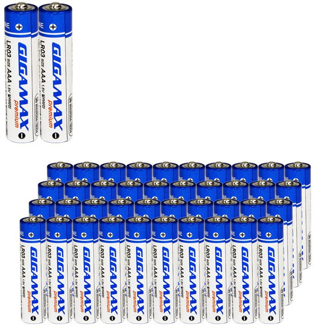 기가맥스 알카라인 건전지, 40개입, 1개