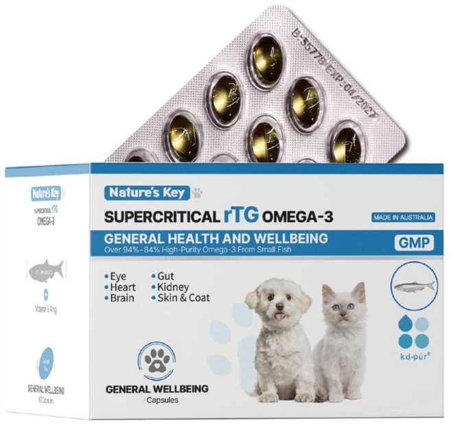 네이쳐스키 반려동물 초고순도 98% 알티지 오메가3, 1개, 피부/피모, 90정 - 쿠팡