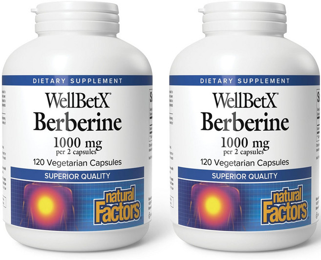 네추럴팩터스 웰벳X 베르베린 1000mg 베지테리안 캡슐, 120정, 2개