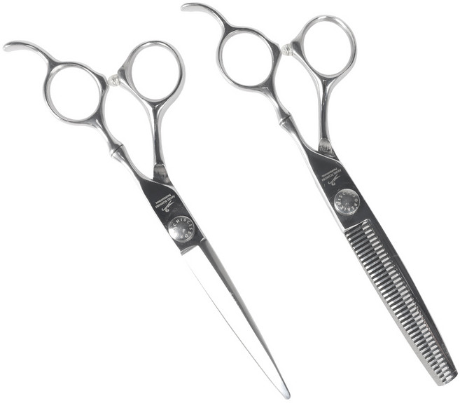 아이치 헤어 커트 국가고시용 홈케어용 미용가위 AI-AY, AI-AY_미용가위 세트 AY SET (6.0 실버), 1개