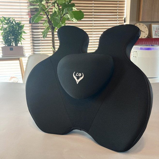 엘비 허리 등받이 자세교정 사무실 차량용 쿠션, 블랙