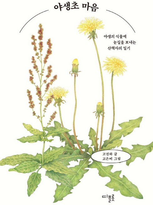 야생초 마음:야생의 식물에 눈길을 보내는 산책자의 일기, 디플롯, 고진하