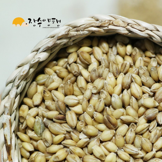 장수양행 황금보리2kg 국산 2025년산 발아찰보리 발아찹쌀보리 황금찰보리, 1개, 2kg(1개)