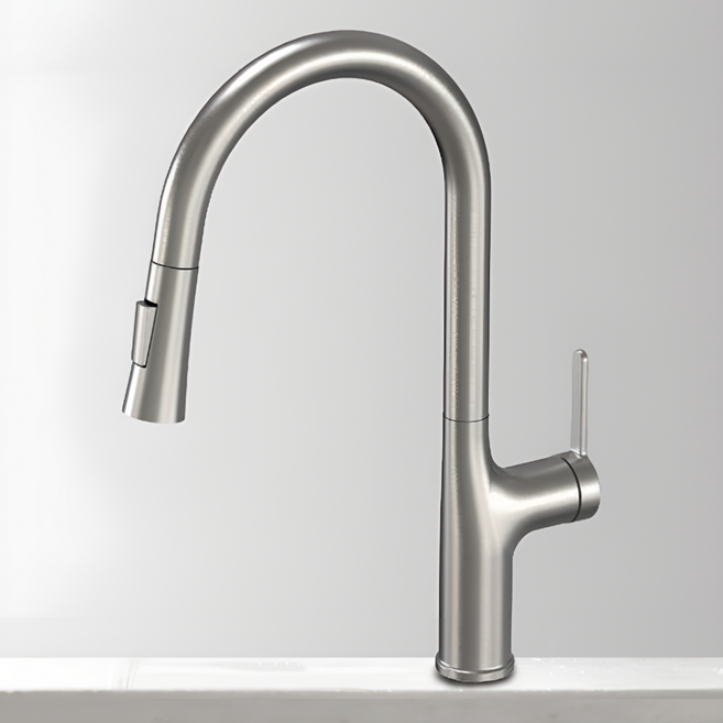 ETERNO 에떼르노 원홀 싱크수전 주방 니켈무광 EK 5000 NBM, 1개