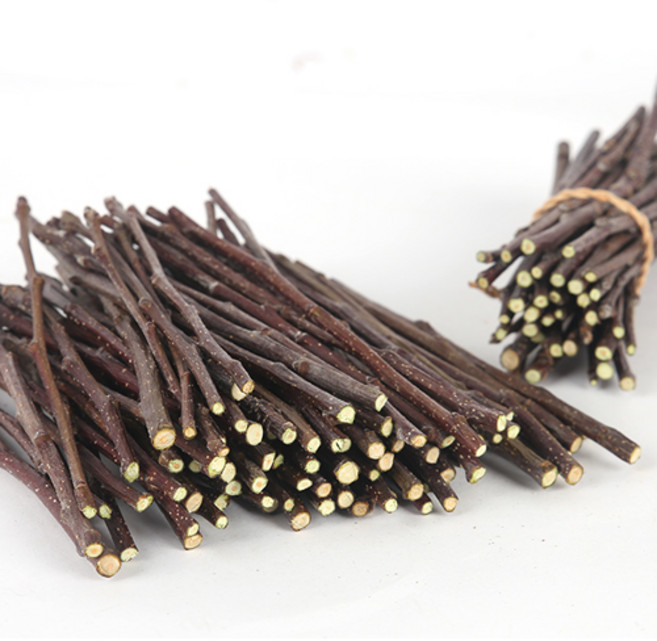 에밀리펫 지리산 청정지역 사과나무 이갈이 대용량200g 약150줄기, 1개