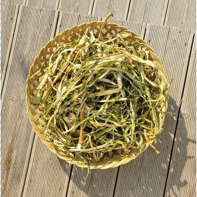 산청산들애 25년 햇 건토란대 지리산 토란줄기 건나물, 1개, 50g