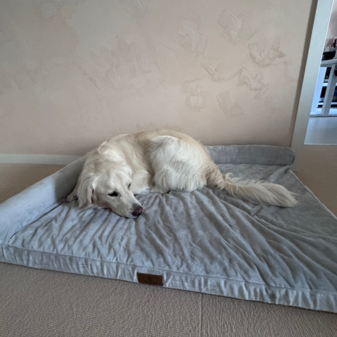 홀릭하임 대형견 관절보호 에그폼 L자형 꿀잠 사각방석 03 L~2XL, 1개, 그레이