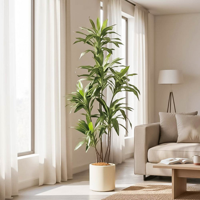 室內大型仿真植栽 巴西木 1.5公尺, 綠, 1個
